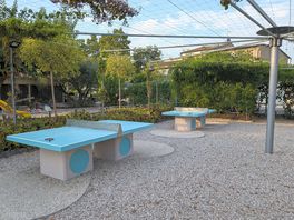 Table tennis.