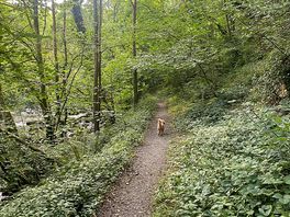Riverside walk