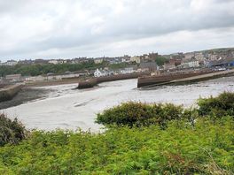 The view of the site from across the marina and up on the dog walk