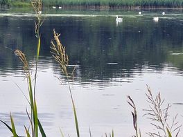 The lake