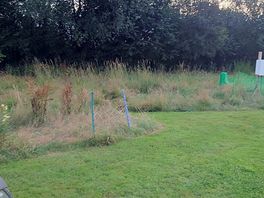 Panoramic from my pitch