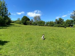 Wild camping pitches
