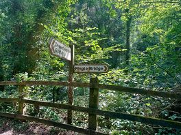 Signs