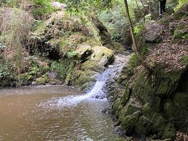 Waterfall nearby