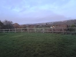 Quiet night, twinkling stars and distant lights. with owls to help you sleep well.