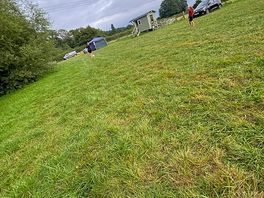 Lovely field