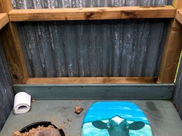 The compost toilets