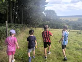 Walk to the woods!