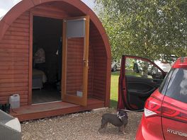 The pod