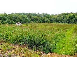 Camping meadow