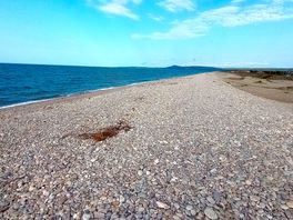 Spey bay