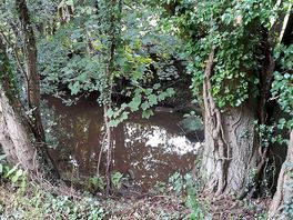 Stream
