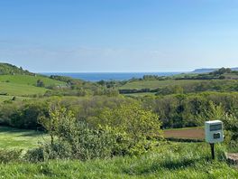 View from pitches