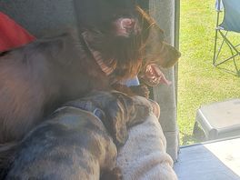 Think george was watching for his bestie