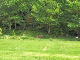 Tree-shaded unpowered site