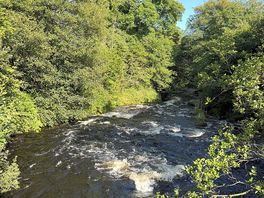 Nearby river, saw lots of people canoeing