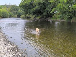 Another swim