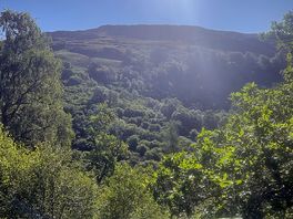 Sunshine over the local hills