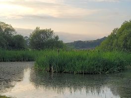 Little pond nearby