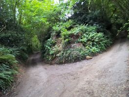 One orchard path leads out on to a back road.