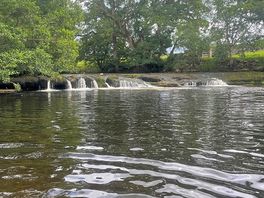 Fantastic wild swim spot
