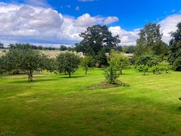 Orchard