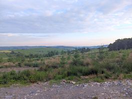 View from our pop-top in the morning!