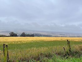 We had constant rain and wind 16mph