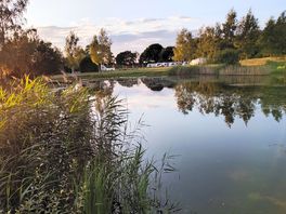 Fishing pond