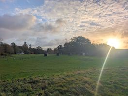 Early morning