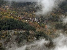 Local view