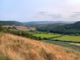 Local walk