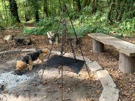 Great fire pit