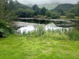 The lake
