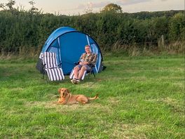 Dog friendly too