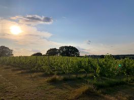 View from local walk