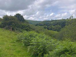 Lovely walks