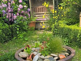 The garden