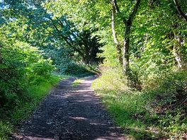 Photos from the nearby cinder track