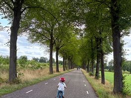 Lots of places to cycle
