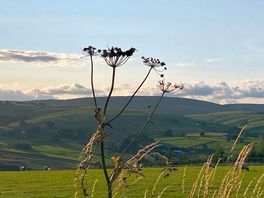 Plenty of hills nearby