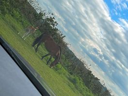 Lovely scenery