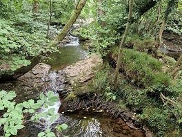 Campsite river