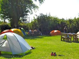 Grassy pitches