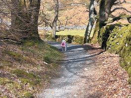 Walk from campsite