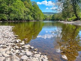 Peace and quiet 🥰