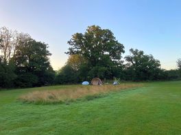 The spacious site