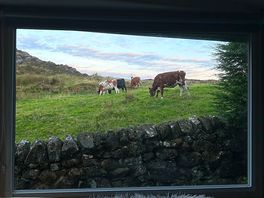 View from the living room