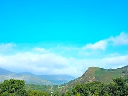 Morning view