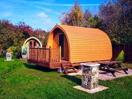 Harry and Henry Cabin Pod
